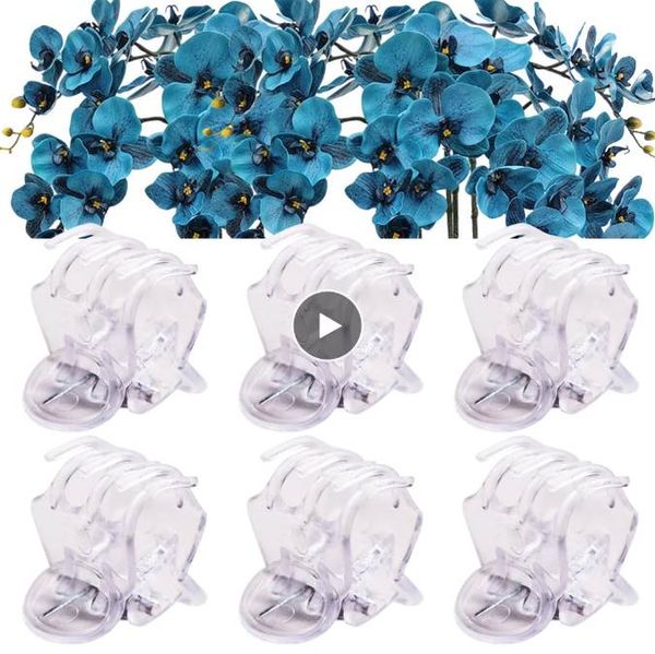 100 PCs transparentes 6 Garras Orquídeas Clipes Flores de borboleta plástica suportam fixador claro para plantas de haste de videira do jardim escalada