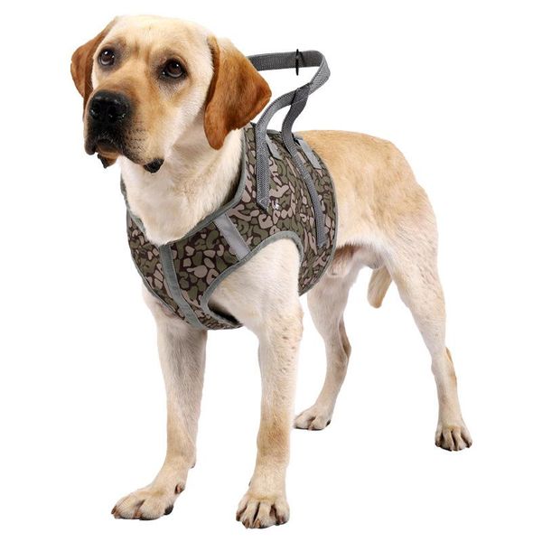 Collari per cani Guinzagli Stile Imbracature resistenti all'usura Cinghie di tipo medio e grande Gilet Corde di trazione Petto ausiliario