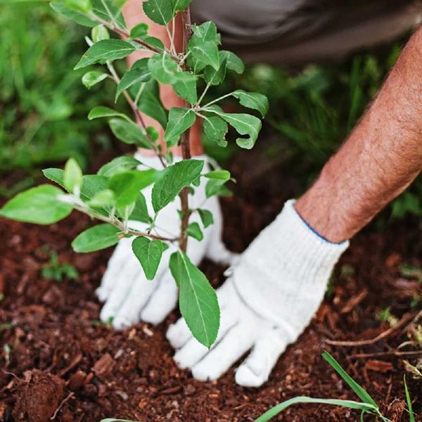 Xingyu luvas de jardinagem fio branco limpo kitted 24 pares antiderrapante handware construção transporte mecânico de reparação automática