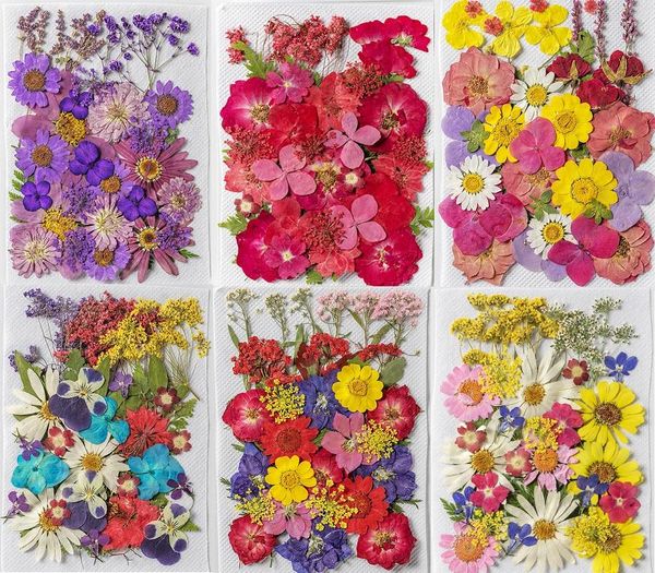 Dekorative Blumen 1Set 35pcs Verschiedene gepresste getrocknete Blumenblattherbarium für Epoxidharz -Schmuck Making Lesezeichen Gesicht Make -up Nagelkunst