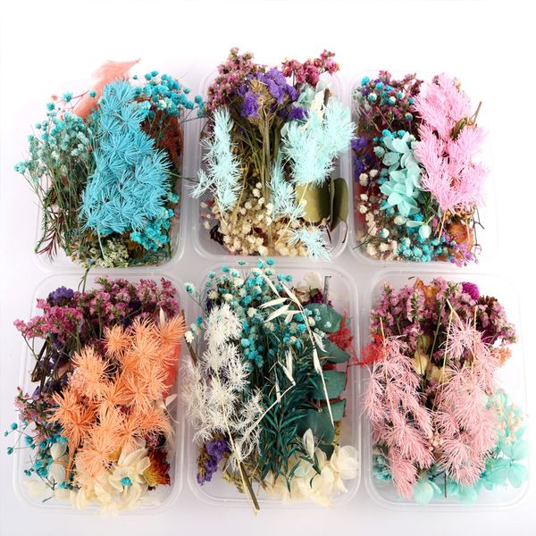 Getrocknete Blumen 1 Box zufällige Farbe echte farbenfrohe Blumenpflanze für Aromatherapie Halskette Schmuck Handwerk DIY Kerzenepoxidharz Anhänger 230111