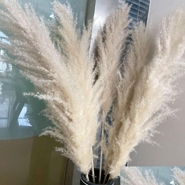 Ghirlande Di Fiori Decorativi 80Cm Erba Di Pampas Grande Super Soffice Bouquet Naturale Secco Decor Crema Color Decorazioni Di Nozze Cristo Dho5A