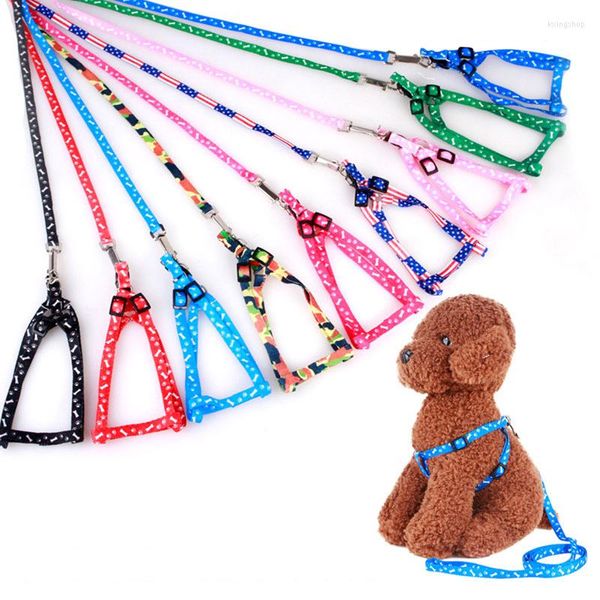 Colarinhos de cachorro 1pcs ajustável em cadeia de fibra de brinquedo interativo Leash Leash Leash Petrening arnês