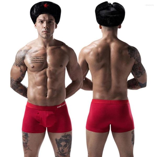 Underpants 3pcs maschile autunno/inverno cotone pugile mutandine a media ridimensionamento 3D U-Convex Open Crotch Bisthble Boyshorts Casual