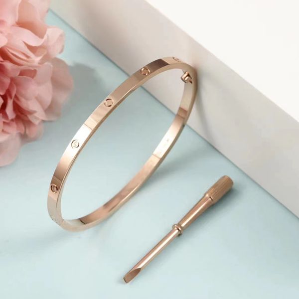 Kadınlar için Altın Bangles, Bilezik Bilezik Seviyor Gümüş Tornavida Elmas Bilezik Genişliği 4mm Altı Nesil Titanyum Çelik Tasarımcı Çift Musluk Mücevherat