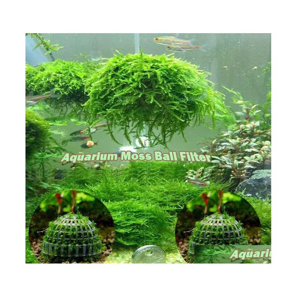 Decora￧￵es Aqu￡rio Marimo Moss Ball Plantas vivas filtro para Java Camar￣o Ornamentos de Tanque de Peixes Drop Deliver