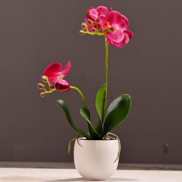 Dekoratif çiçek çelenkleri set yüksek kaliteli gerçek dokunmatik kelebek orkide bonsai yapay phalaenopsis saksı saksı bitkiler düğün parti