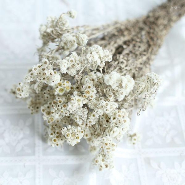 Decoratieve Bloemen Chrysant Kleine Witte Gedroogde Valentijnsdag Cadeau Aan Vriendin Bruiloft Centerpieces Voor Tafeldecoratie