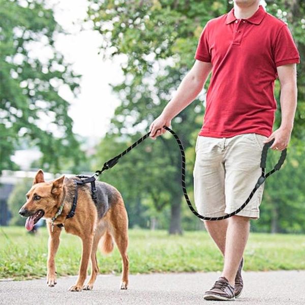 Colarinho de cachorro coleira coleira cor corda cães tira tira durável noturno reflexo 120/150/200/300cm Cadeia de nylon de suprimentos para animais de estimação ao ar livre