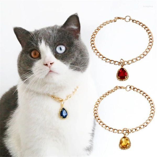 Collari per cani Collana per animali domestici Cuore Goccia d'acqua Gemme Collare per gatti Catena per gioielli Accessorio per matrimoni