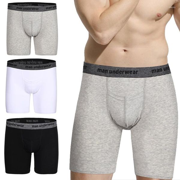 Unterhosen Männer Boxer Unterwäsche Atmungsaktive Lange Boxer Abnehmen Shorts Baumwolle Mann Sport Höschen Boxershorts Hombre Ropa Interior