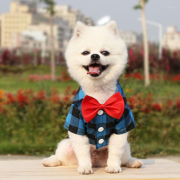Hundekleidung 1 Stück 2023 Mehrfarbige Fliege Krawatte Plaid-Hemdanzug Hochzeitskleid Teddy Bichon kleine mittelgroße süße Haustierkleidung Vorräte