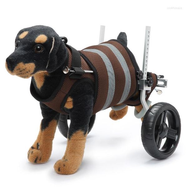 Hundehalsbänder Behinderte Haustier Rehabilitation Gehhilfe Autogeschirr Leine Set für Katze Zweirädriger Roller LC0289