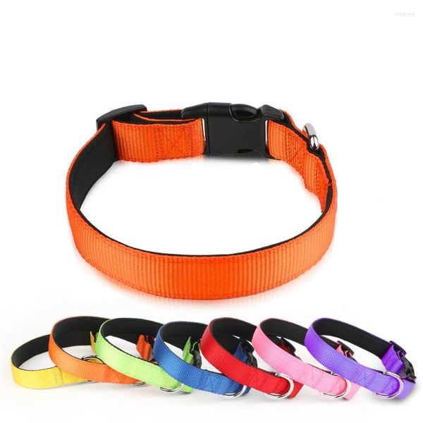 Collari per cani Collare in nylon MASBRILL Cucciolo personalizzato per animali domestici regolabile per forniture di piccole e medie dimensioni