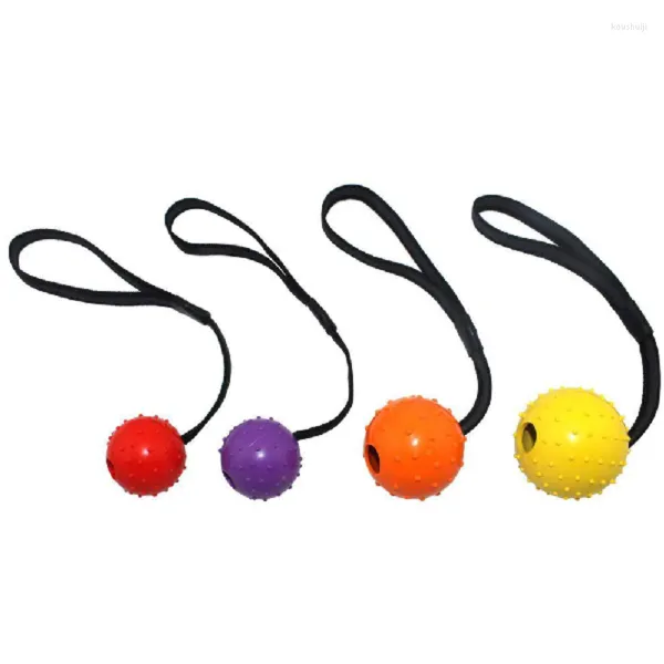 Brinquedos para cães brinquedos divertidos interativos bola de borracha de borracha resistente a picadas de nylon preto Treinamento elástico Elastic Funny Pets Acessórios