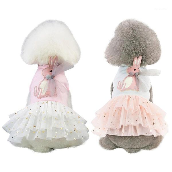 Hundebekleidung Haustier Frühling Sommer Prinzessin Rock oben Süßes Kleid Kleine mittelgroße Hunde Coole Accessoires1