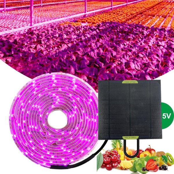 Luzes Grow Lights 5m LED solar Full Spectrum Phyto Lâmpada 5V Faixa de luz 2835 para plantas Flores Cultivo de estufa hidropônico