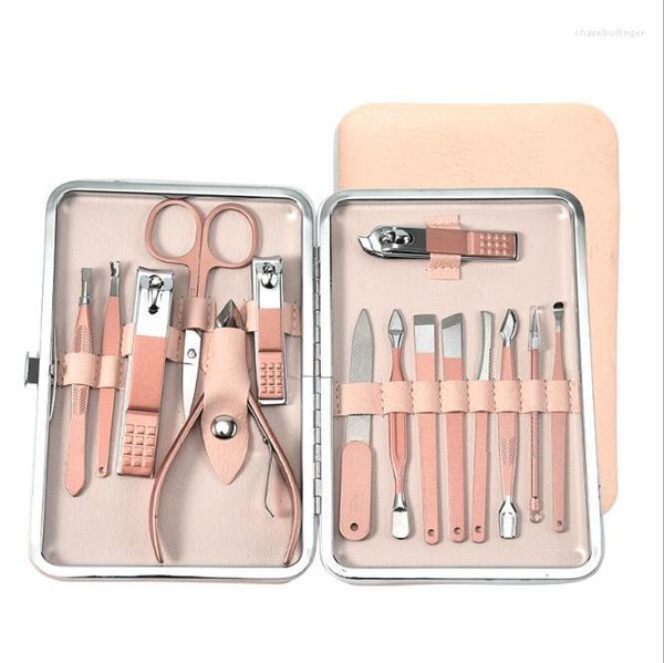 Nail Art Kits 20 Satz / Los Roségold Edelstahl Clippers Set Werkzeug Peeling- und Polierwerkzeuge Maniküre HA2148