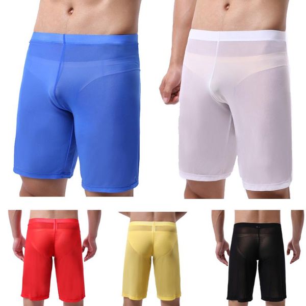 Mutande Intimo sexy da uomo Filato a rete ultrasottile nei pantaloni Tentazione scavata Traspirante Allentato a vita media Pantaloni asciutti da 5 minutiUnd