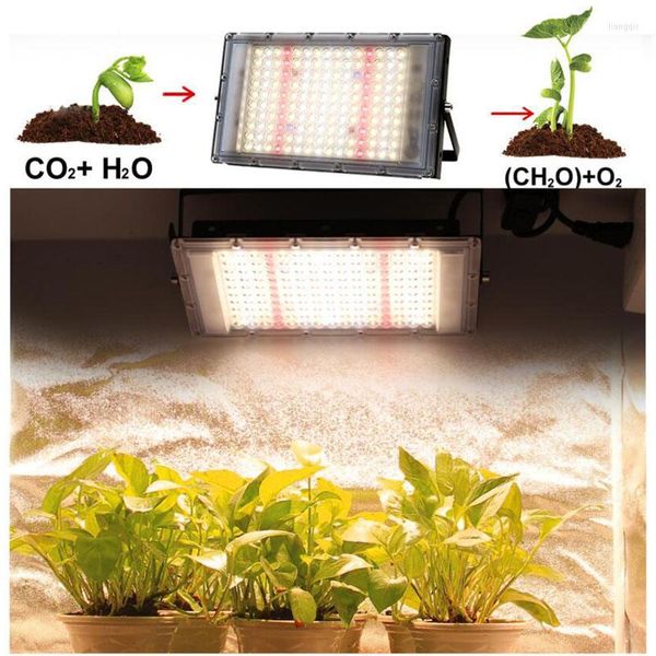 Luzes de cultivo 220V Planta LED Luz solar Luz solar Full Spectrum