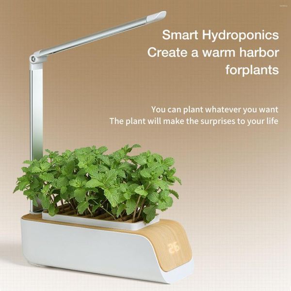 Grow Lights Sistema di coltivazione idroponica Kit luce LED per fioriera intelligente da cucina per interni