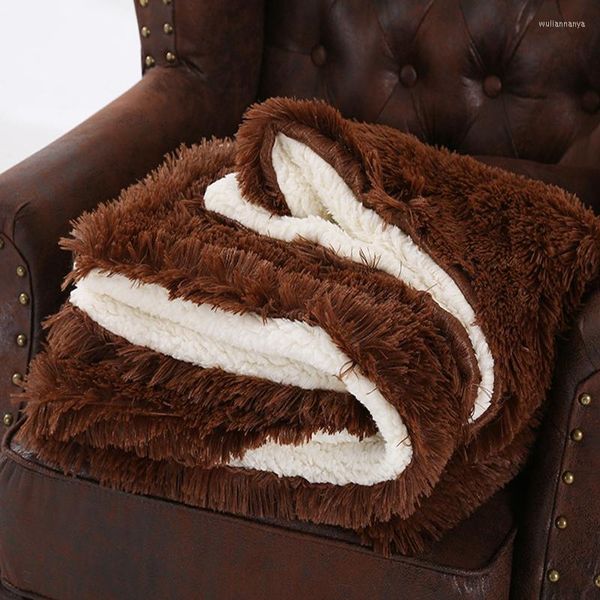 Coperte Caffè Doppia Faccia Coperta Addensata Lunga Peluche Divano Auto Portatile Flanella Letto Copriletti Biancheria Da Letto Decor Ragazza Regalo 160 200