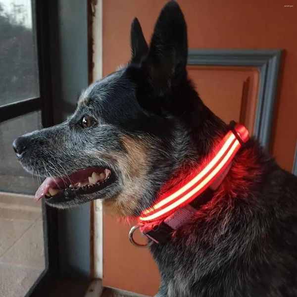 Köpek yakaları led evcil hayvan ışınlı yakalı usb şarj anti kayıp yanıp sönen kolye küçük kedi aksesuarları