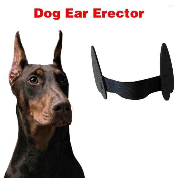 Forniture per abbigliamento per cani Strumenti per la cura dell'orecchio del cucciolo Stand Up Sticker Strumento di supporto fisso per Doberman Assist eretto