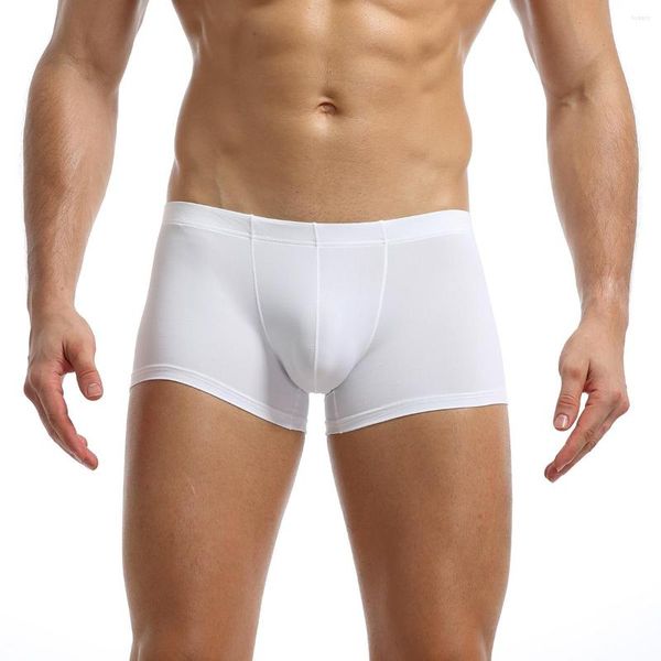 Mutande da uomo in seta ghiacciata da viaggio per la casa biancheria intima sexy boxer traspiranti bianco rosso nero grigio