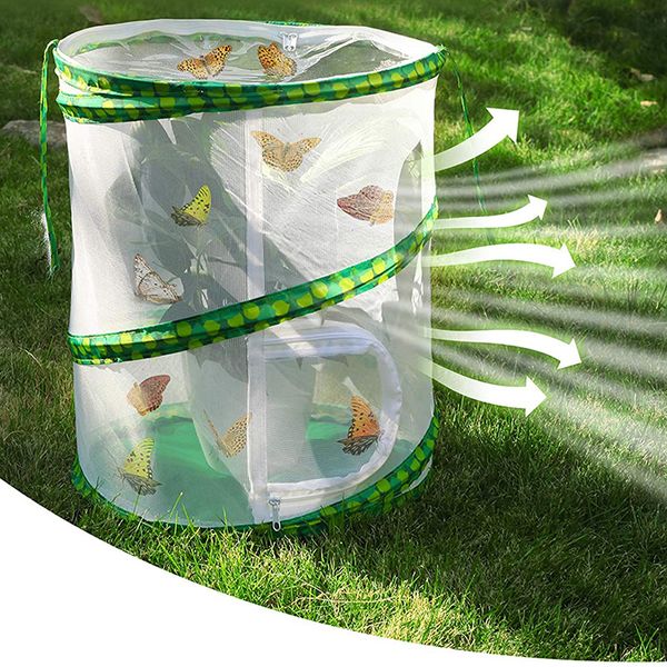 Forniture per piccoli animali Gabbia per insetti di grandi dimensioni Giardino esterno Farfalla Cavalletta Panno netto Allevamento Zipper Mantis Pet Seedling Incubatore Light Box 230130