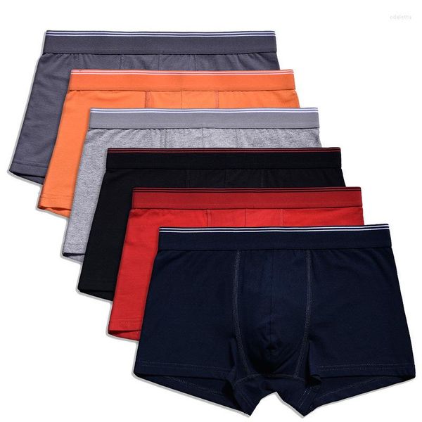 Unterhosen 6 teile/los Baumwolle Männliche Höschen männer Unterwäsche Boxer Atmungsaktiv Mann Boxer Solide Bequeme Shorts Sexy Dessous