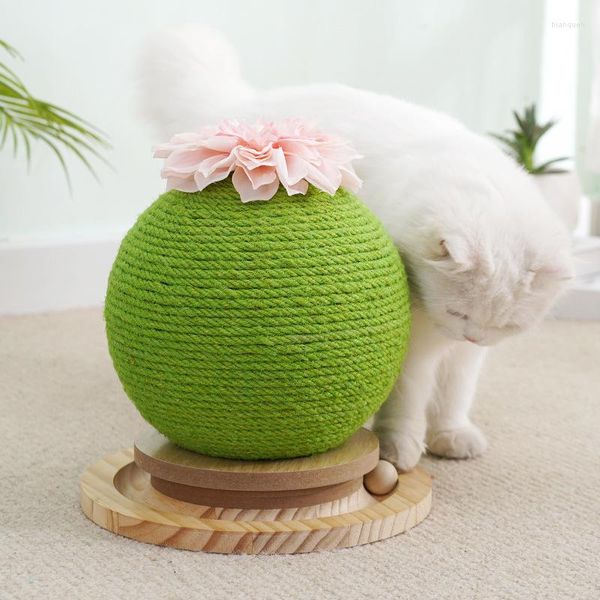 Giocattoli gatti 2 in1 boschetto a sfera di cactus sisal in legno massiccio macinare zampe giocattolo per animali domestici interattive