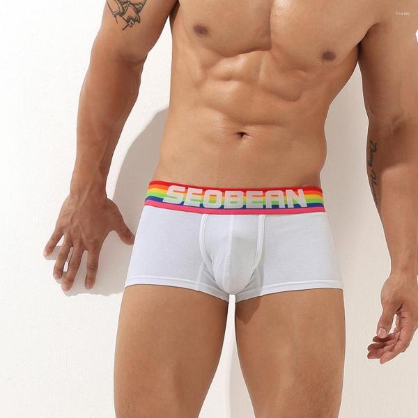 MUITAS PONTAS Chegada de moda masculina Rainbow Stripes Boxers de cinto largo Briefas de roupas íntimas gays cor de algodão colorido para masculino