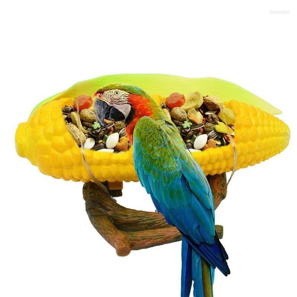 Другие птицы поставляют попугай кукурузу для кормления пищевой чаш