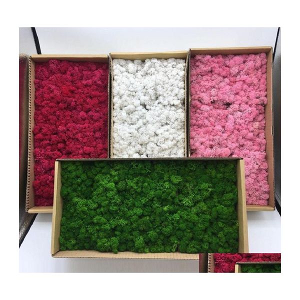 Flores decorativas grinaldas de rena Moss Moss Artificial Craft Planter for Wall Decoration Fairy Gardens Presente Pacoting Potted Potmgs