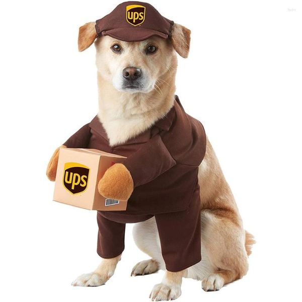 Abbigliamento per cani Pet Halloween Ups Costumi Divertenti abiti da vestire con forniture per cappelli per cani di taglia media Corriere Prodotti di abbigliamento