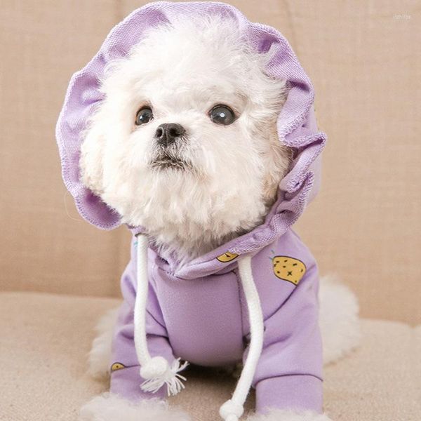 Vestuário para cães outono e inverno lindos chapéus de renda para cães suéteres finos animais de estimação Bichon da Pomerânia gatos pequenos xícara de chá roupas de pelúcia