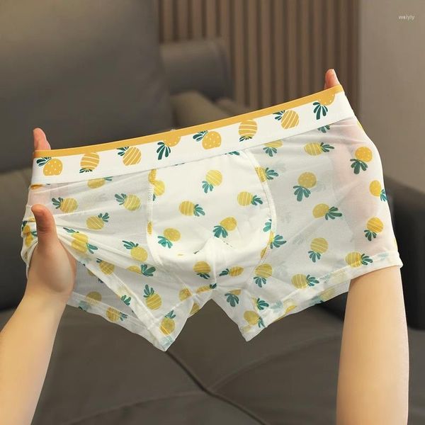 Mutande Trasparenti Boxer in rete sexy Traspirante Personalità della moda Yong Man Fiore di ananas Sottile attillato 3XL Biancheria intima di grandi dimensioni