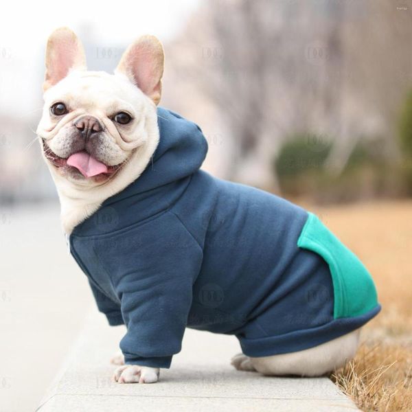 Hundebekleidung Reißverschluss Hoodie Haustier Einfarbig Sweatshirt Kleiner Pullover Mode Katzenmantel Frühling Herbst Kleidung Chihuahua Yorkshire Pudel