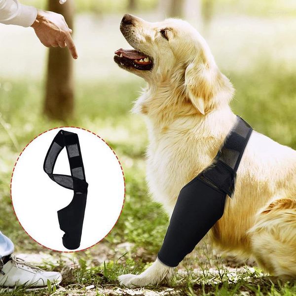 Abbigliamento per cani Ginocchiera per animali domestici per supporto gamba posteriore Manicotto Avvolgimento articolare Cuscinetti regolabili Hinds Legs Lesioni Recupero