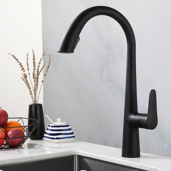 Rubinetti della cucina Lavabo nero estraibile e rubinetto dell'acqua fredda Rotazione a 360 ° Doppio lavello domestico Tracciabile a scomparsa