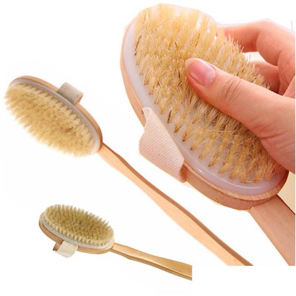 Spazzole da bagno Spugne Scrubber Pelle secca Spazzola per il corpo con manico lungo antiscivolo staccabile 100% setole naturali Doccia Sangue Circati Dhmea