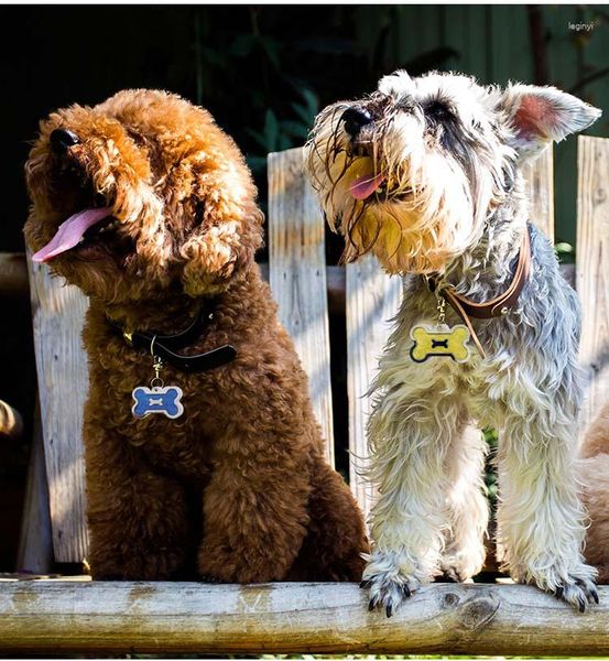 Dog Tag Metal Liga de zinco Identidade em forma de osso duplo Suprimentos para animais de estimação Pingente de óleo pingando Letras a laser