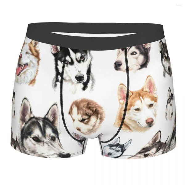 Cueca Humor Boxer Bonito Husky Siberiano Colagem Shorts Calcinha Roupa Interior Masculina Cães Animal Poliéster Para Homme S-XXL
