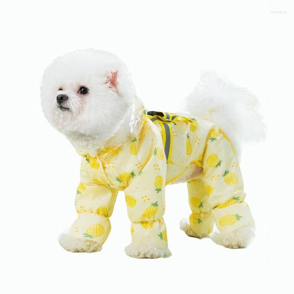 Roupas para cães Capa de chuva com estampa de frutas Roupas para animais de estimação Bonito Quatro pés Roupas para cães Gato Pequeno à prova d'água para todas as estações Moda Yorkshire