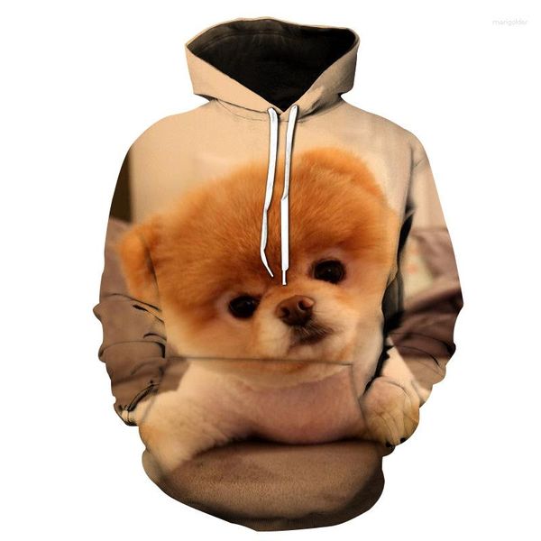 Felpe con cappuccio da uomo Vendita Uomo Donna Stampa 3D Chow Dog Animal Pattern Pullover Unisex Casual Creative Oversize