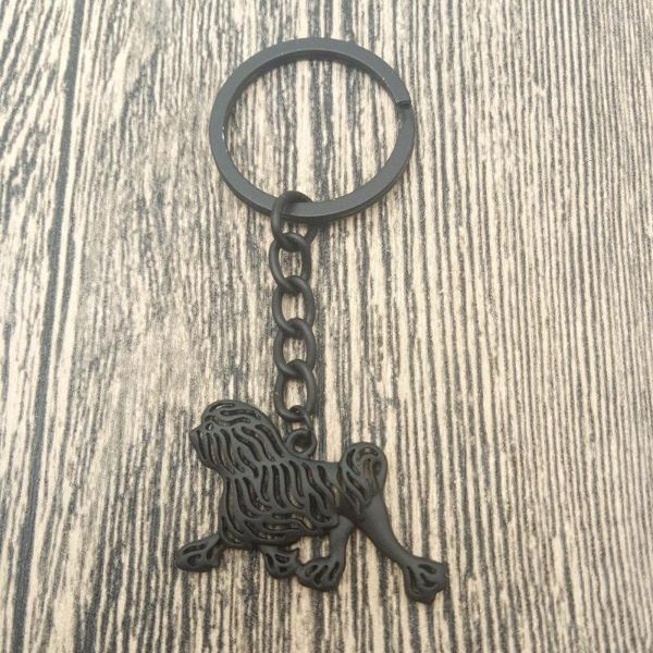 Клавные сети Lowchen Key Chains Fashion Dog Dog Jewellery Car Careckage Bearing для женщин мужчин