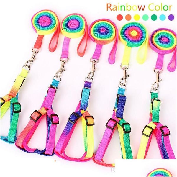 Coleiras para cães coleiras ajustáveis pequenas para animais de estimação Coleira de nylon colorida para cachorro Caminhada para fora Alça de mão Coleira para gato Coelho Drop D Dhpdp