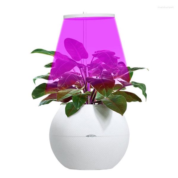 Luzes de cultivo LED para plantas Lâmpada de planta Lâmpadas redondas internas Verde Dill Rosas Cactus Mini Bonsai