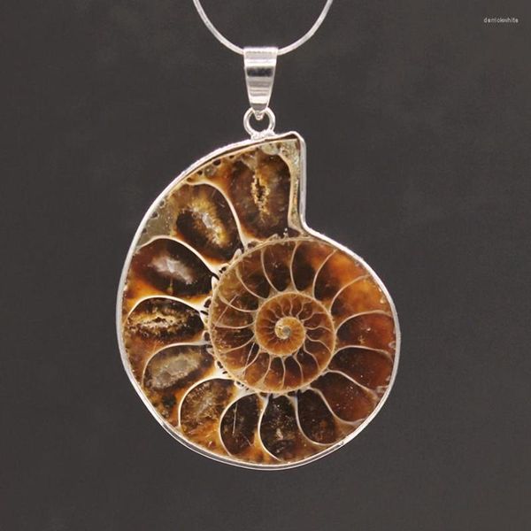 Anhänger-Halsketten 100-Unique 1 Stück versilbert unregelmäßige Form Ammoniten Reliquien personalisierter Schmuck